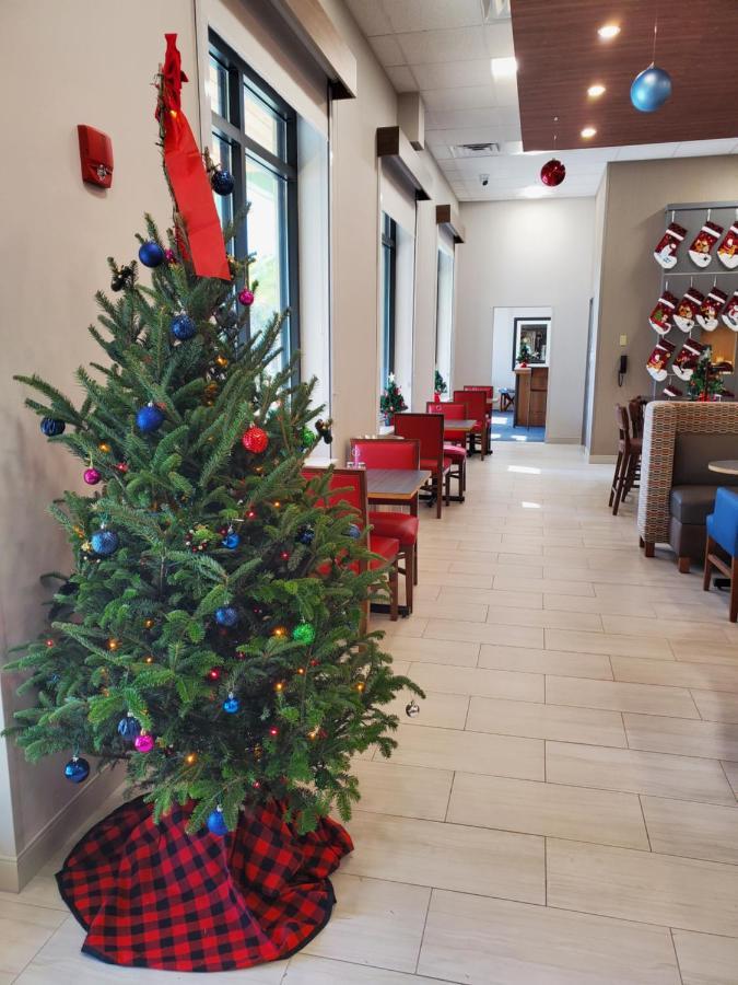 Holiday Inn Express St. Augustine - Vilano Beach By Ihg Екстер'єр фото